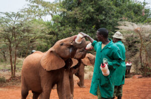 Aus 15% wird 1 Million!