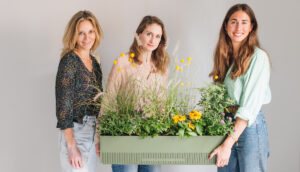 The Plant Box in „Die Höhle der Löwen“ – Das Berliner Startup präsentiert innovative Balkonbepflanzung