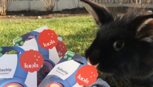 Ein kleiner Kekz fürs Osternest