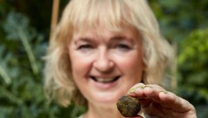 Die Höhle der Löwen: Deal für Laxplum mit Nils Glagau