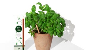 Integrativ, nachhaltig, transparent