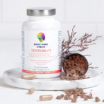 Geistesblitz_front_01