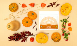 Der Goldene Herbst mit Blue Farm