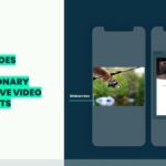 Grafikmaterial_1_Showheroes_Video-Werbeformate_Expander_und_Widescreen_221102