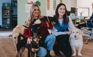 VEGDOG schließt Series A-Finanzierungsrunde über 3,5 Millionen Euro ab