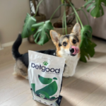 Ambassador-Bonnie-food-bag