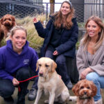 Pernilla Westergren (petgood) with labrador Siri, Fanny Nachemson (FoodBridge) with dog Lila, Christine Ahlstrand (Course Corrected) with dog Misiu