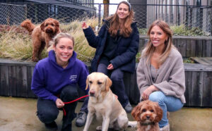 Insektenproteine für Vierbeiner und Umwelt – Schwedisches FoodTech kommt nach Deutschland