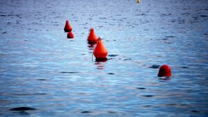 Rufe aus FDP nach militärischem Schutz für Getreideschiffe