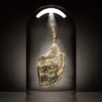 ARTWORK-POPSTEAK-NFT-VIP