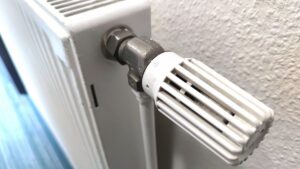 Mützenich will Heizungsgesetz grundlegend revidieren