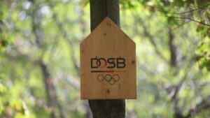 Deutschland bietet ukrainischen Olympia-Sportlern Hilfe