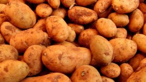 Erzeugerpreise in der Landwirtschaft steigen langsamer