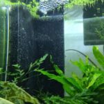 Aquakallax_Moodbild6_Credit_Aquakallax