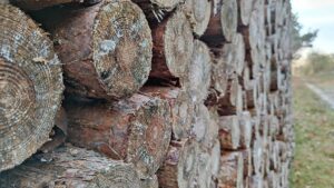 Forstwirtschaft kritisiert Verbot reiner Holzheizungen