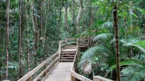 Studie: Ökosysteme könnten schneller kollabieren als gedacht