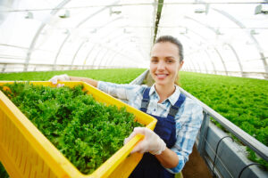 Ländlicher Raum und Klimawandel – neue Herausforderungen und Zukunftsaussichten