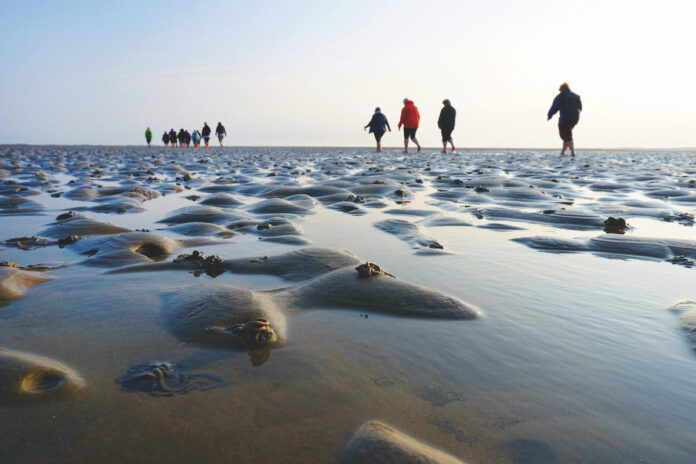 wattwanderung baltrum