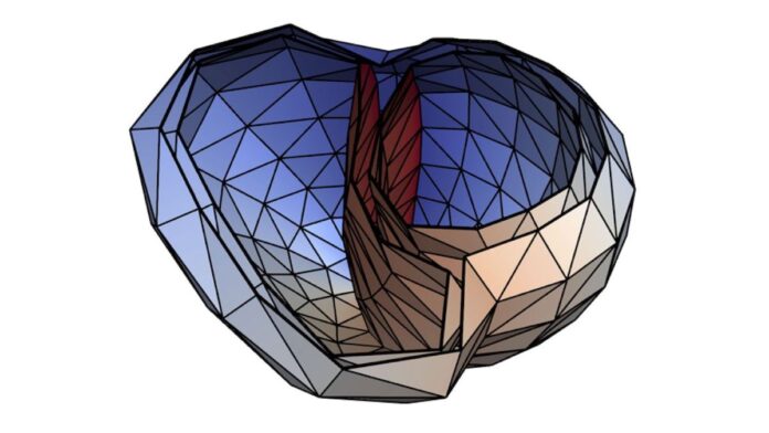 KIT: Maschinelles Lernen: Künstliche neuronale Netze lokalisieren Herzstolpern