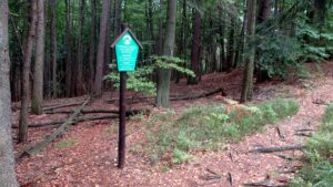 Polizeigewerkschaften fordern Grenzkontrollen innerhalb der EU