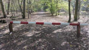 Wanderverband rät Politikern zu mehr Bewegung