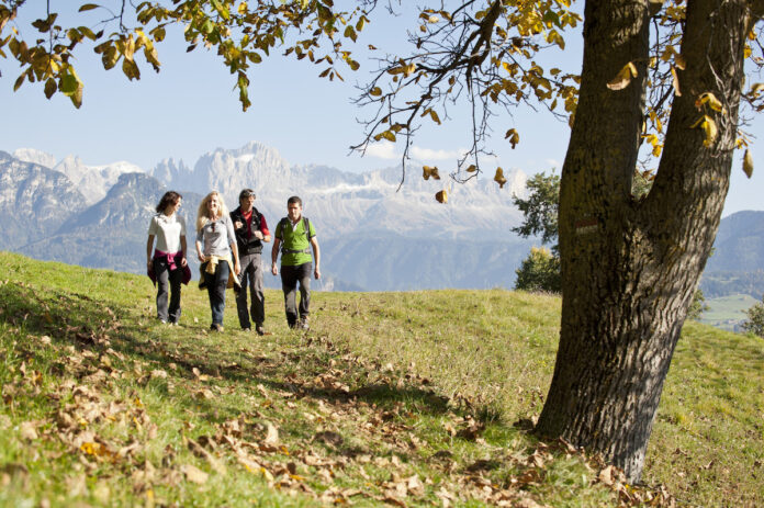 Bild: Keschtnweg1 (c) IDM Südtirol Alex Filz