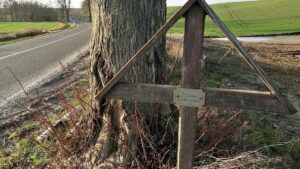 NRW-Innenminister erwartet mehr Unfälle wegen Cannabis-Legalisierung