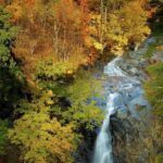Shenandoah-National-Park-White-Oak-Upper-Falls_Courtesy-of-Virginia-Tourism-Corporation