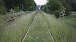 Deutsche Bahn plant mehr Ausgaben für Unkrautbekämpfung