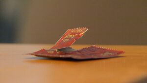 Bundesverband sexuelle Dienstleistungen lehnt Sexkauf-Verbot ab