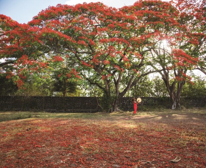 Mauritius