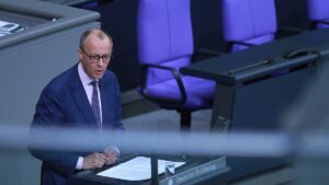 Berufsverband kritisiert Klemptner-Äußerung von Merz