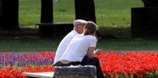 Studie: Flat-Tax-Erbschaftsteuer führt zu hohen Mindereinnahmen