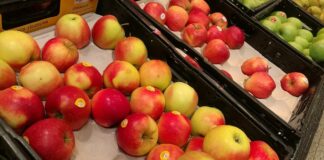 Zahl ehrenamtlicher Helfer bei Lebensmitteltafeln auf Rekordhoch