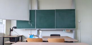 Zwölf Bundesländer stellen KI an Schulen zur Verfügung