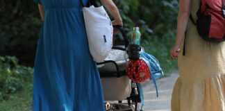 Ökonomen kritisieren CDU-Vorstoß gegen Recht auf Teilzeit