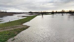 Fratzscher will Schuldenbremse wegen Flutkatastrophe aussetzen