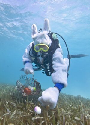 Muschelblasen, Ostereisuche unter Wasser und Key Lime Pie Eating Championship: So skurril feiern die Florida Keys
