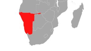 Namibias Präsident Hage Geingob gestorben