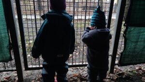 FDP fürchtet deutlich höhere Kosten durch Kindergrundsicherung