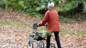 IW lehnt Heils Rentenplan ab: Teurer Versuch mit Subventionen