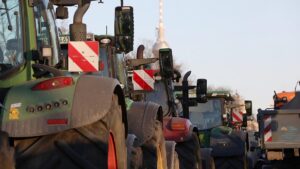 Bauernverbände verlangen Inflationszuschlag bei Tierwohlabgabe