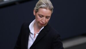 AfD-Chefin Weidel bezeichnet Verfassungsschutz als Verfassungsfeind