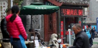 Grüne fordern mehr Einsatz gegen unfaire Handelspraktiken Chinas