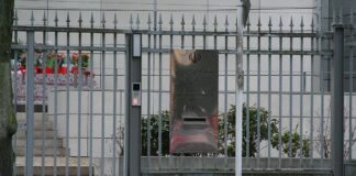 Linke und Grüne fordern sofortigen Abschiebestopp in den Iran