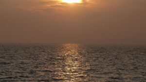 Polarforscherin beklagt gravierende Veränderungen der Ozeane