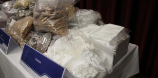 Kokain-Kartelle weichen zunehmend auf kleinere Nordseehäfen aus