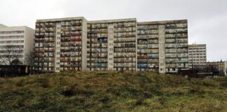 CDU-Wirtschaftsrat fordert zweites Reformpaket