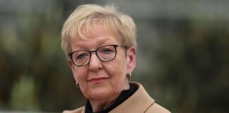 Ex-Nato-Strategin fordert gemeinsame EU-Handlungslinie zu Grönland