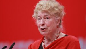 Schwan wirft Stark-Watzinger mangelnde Kenntnis des Grundgesetzes vor